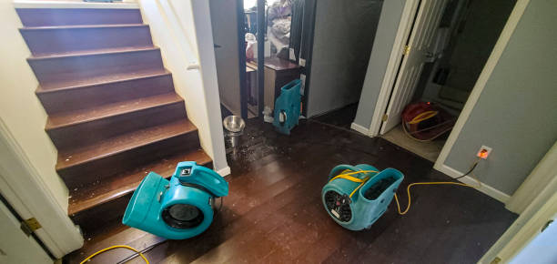 Best Water damage contractors near me  in Goulds, FL