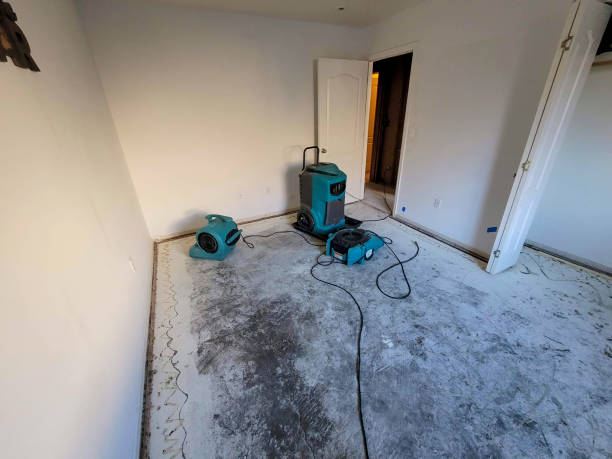 Carpet water damage restoration in Goulds, FL