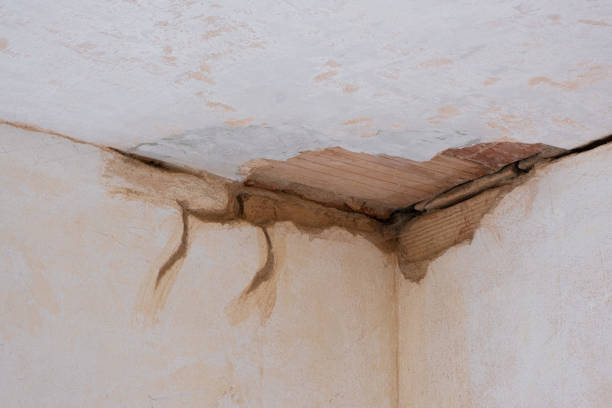Best Flooded house restoration  in Goulds, FL