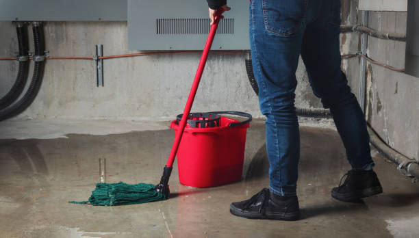 Best Residential water damage restoration  in Goulds, FL