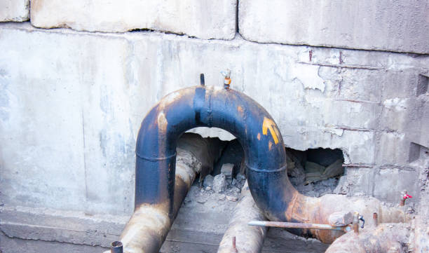 Best Professional water damage repair  in Goulds, FL